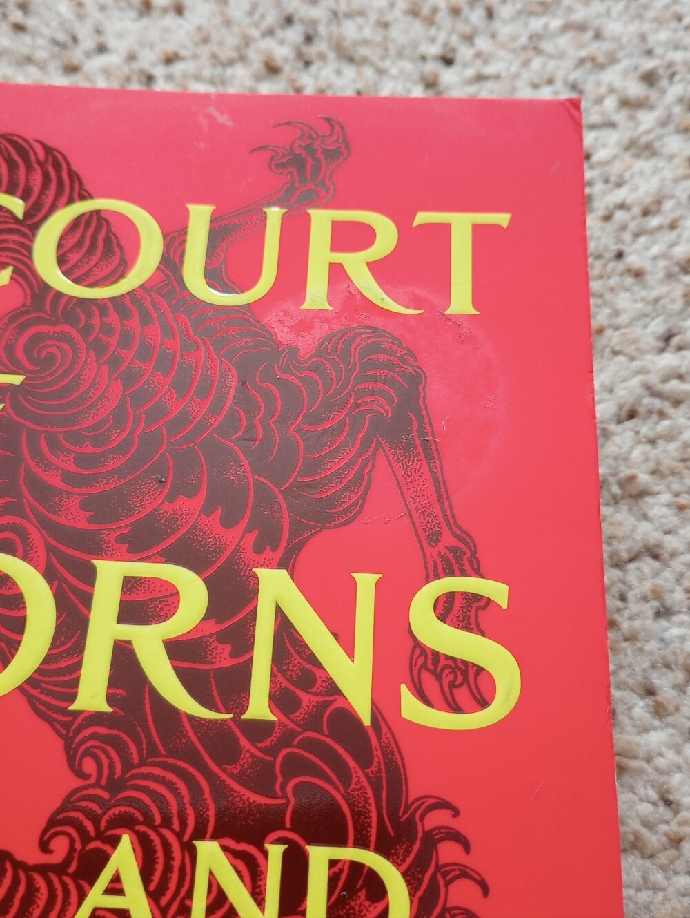 A Court Of Thorns And Roses Sarah J. Maas Book Fantasy Romance - Picture 3 of 12